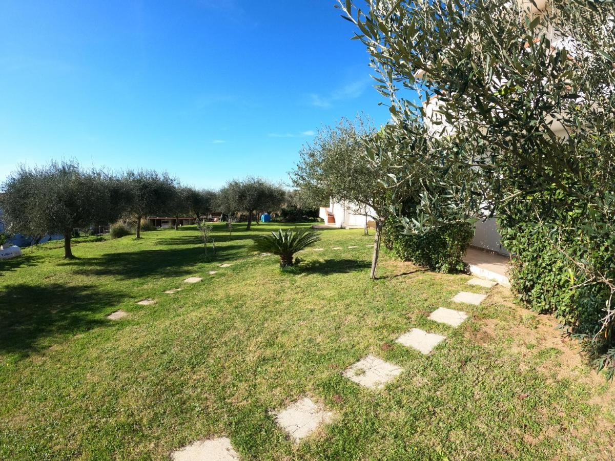 Agriturismo Seaview Capo Vaticano Zewnętrze zdjęcie
